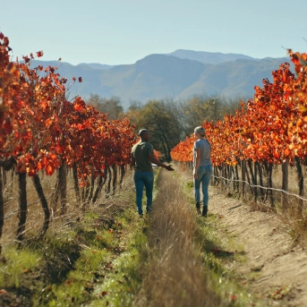 Diverse couple walking through autumn coloured trees