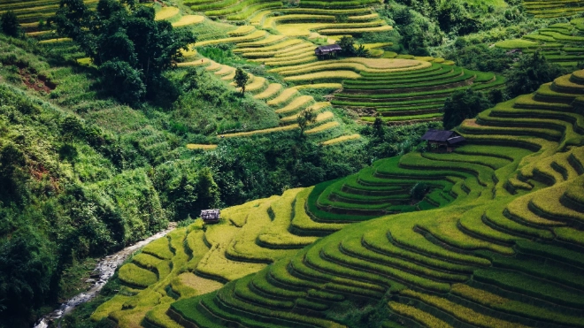 Tiered landscaping in Asia